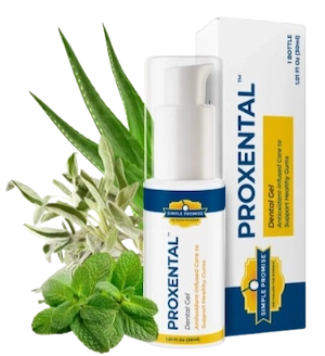 ProXental (Simple Promise) Reviews