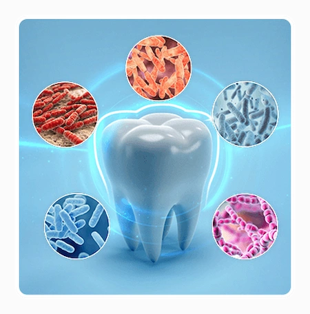 DentaVive Ingredients