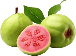 Guava Fruit Powder