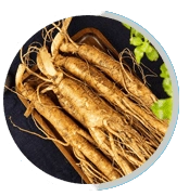 asian-ginseng